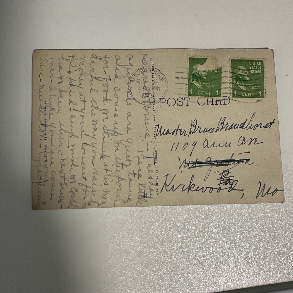 Vintage Nature Mt. Gretna PA Postcard With 2 Rare Washington 1 cent stamps - Picture 6 of 6
